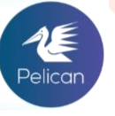 pelican